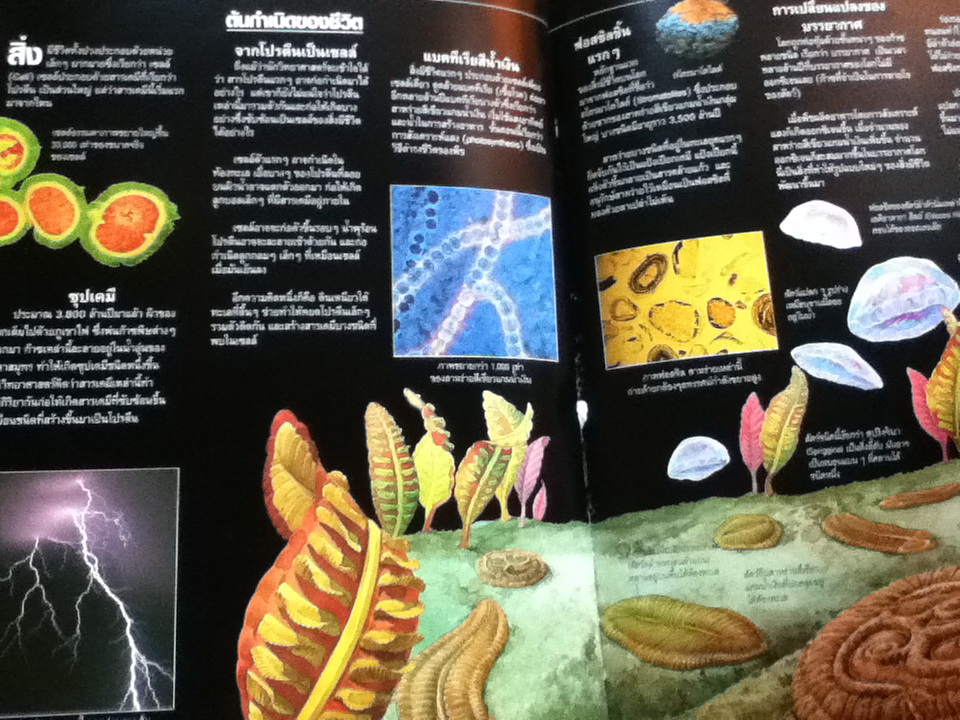 โลกยุคก่อนประวัติศาสตร์/ Fiona Chandler และคณะ/ เอมอร เอาฬาร ผู้แปล