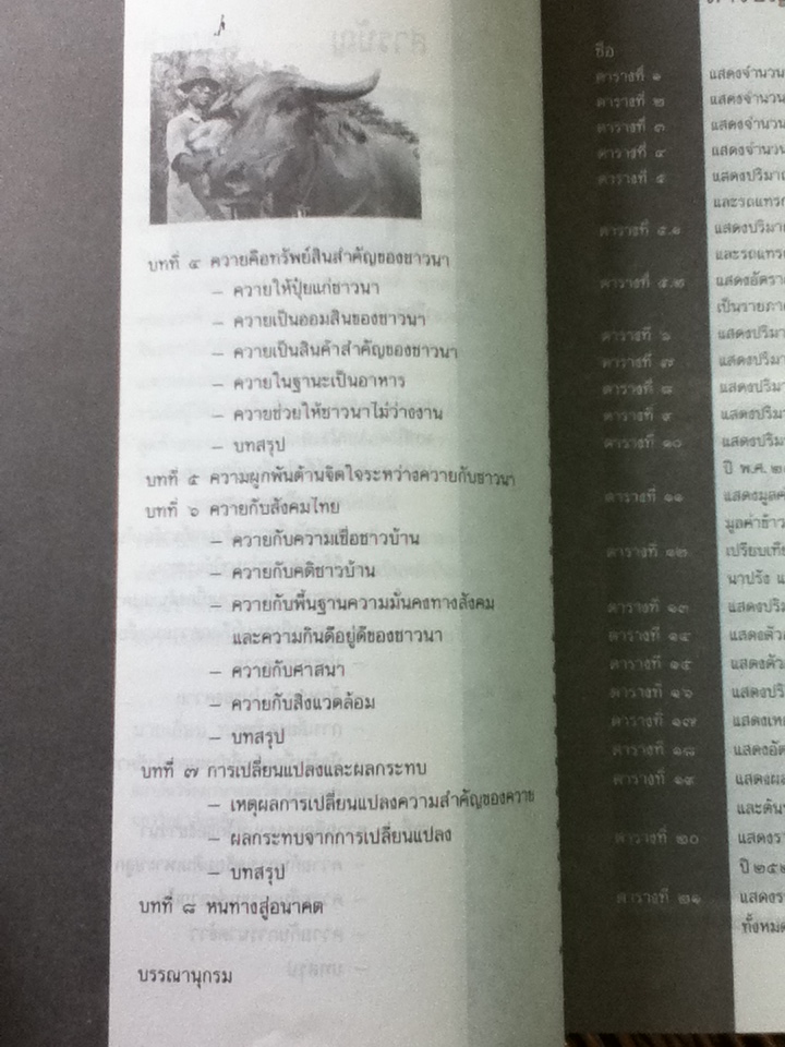 ควายไทย สัตว์กตัญญูซึ่งกำลังถูกลืม/ เอี่ยม ทองดี