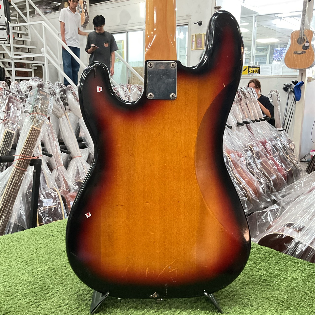 กีต้าร์เบส HOLLY : SPLENDOR