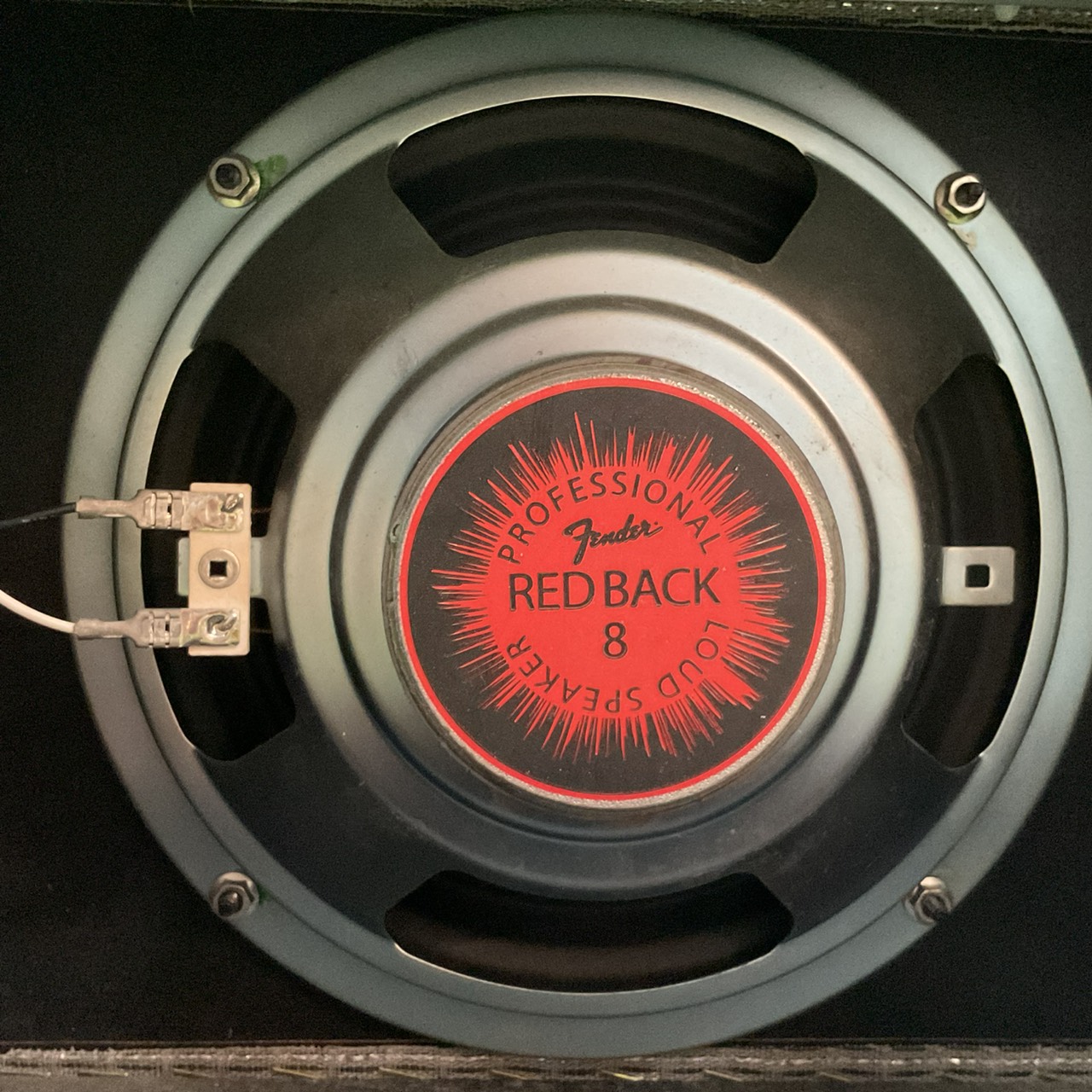 แอมป์กีต้าร์ Fender : SD-15