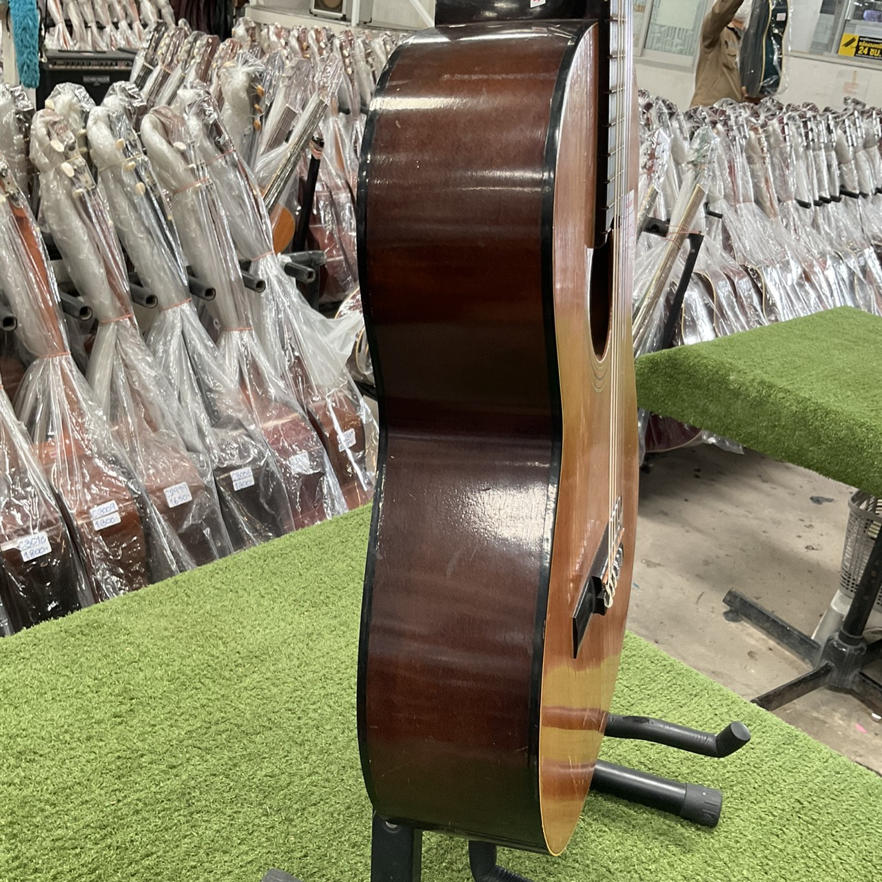 กีต้าร์คลาสสิค YAMAHA : S-50