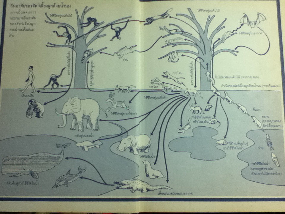 วิทยาศาสตร์อ่านสนุก เล่ม 1-9