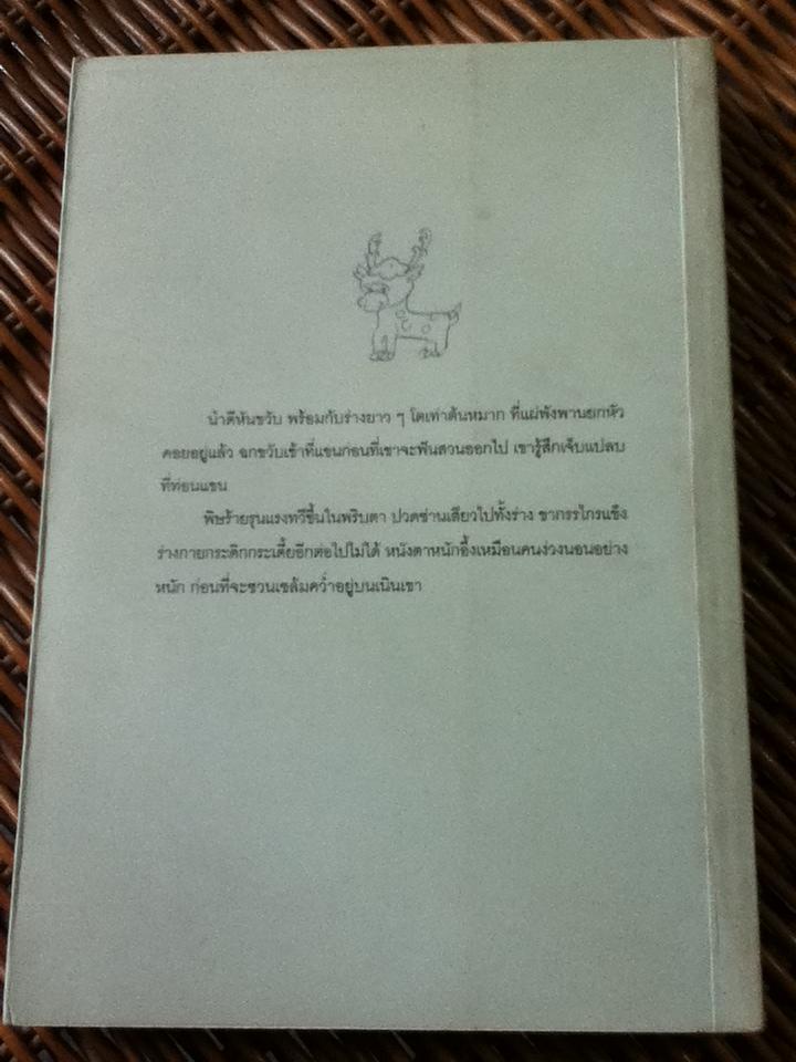 เทพเจ้าเขาแมว/ ผกายฟ้า ประกาศิต