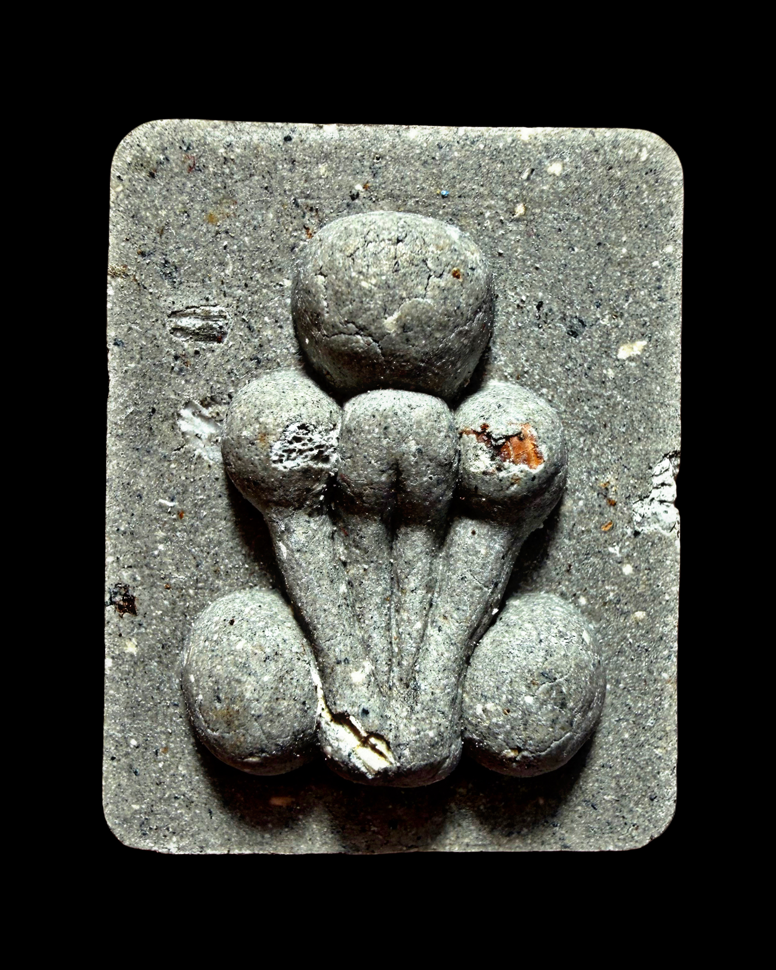 พระปิดตาผงพิเศษ (พิมพ์:กระดูกผีวัดโพธิ์,พิมพ์เล็ก) Mystic Powder Phra Pidta (model:blessing bone of wat pho,small-sized) SKU-04059