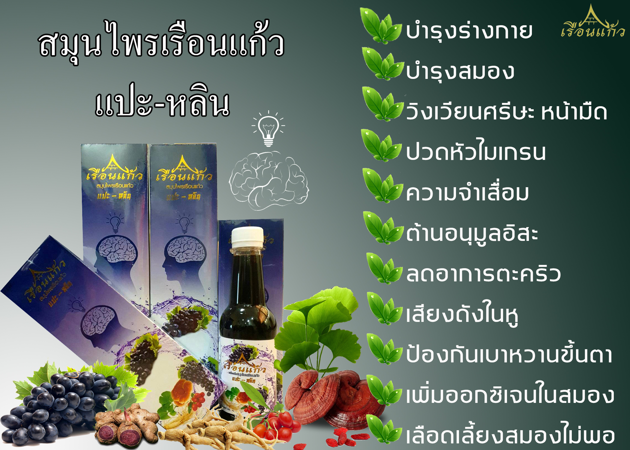 แปะก๊วย เห็ดหลินจือ บำรุงสมอง โสม เรือนแก้ว แปะ-หลิน สมุนไพรเรือนแก้ว ไมเกรน หอบหืด บำรุงสายตา ต้านอนุมูลอิสระ