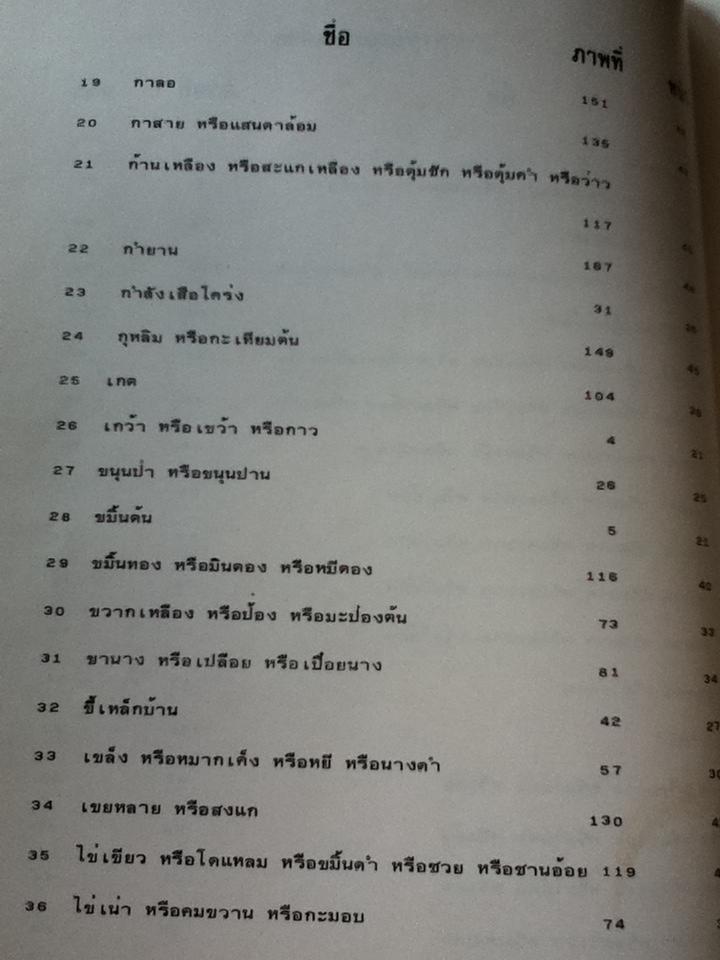 ลักษณะโครงสร้างของไม้และการตรวจพิสูจน์/ ณรงค์ โทณานนท์