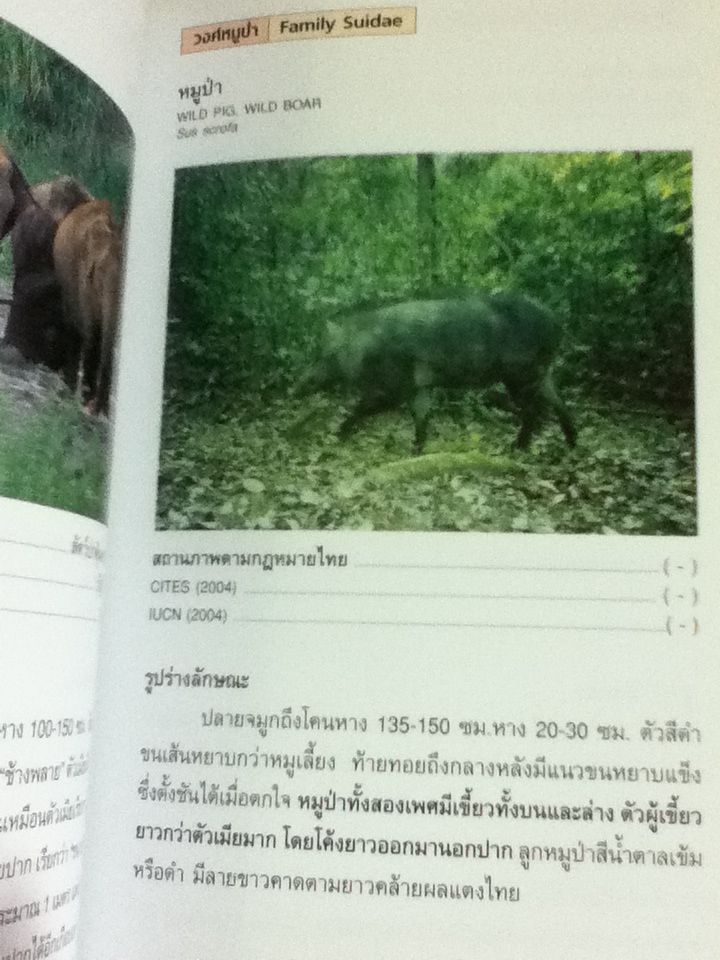 คู่มือจำแนกสัตว์ป่า เพื่องานป้องกัน และปราบปรามการลักลอบค้าสัตว์ป่า