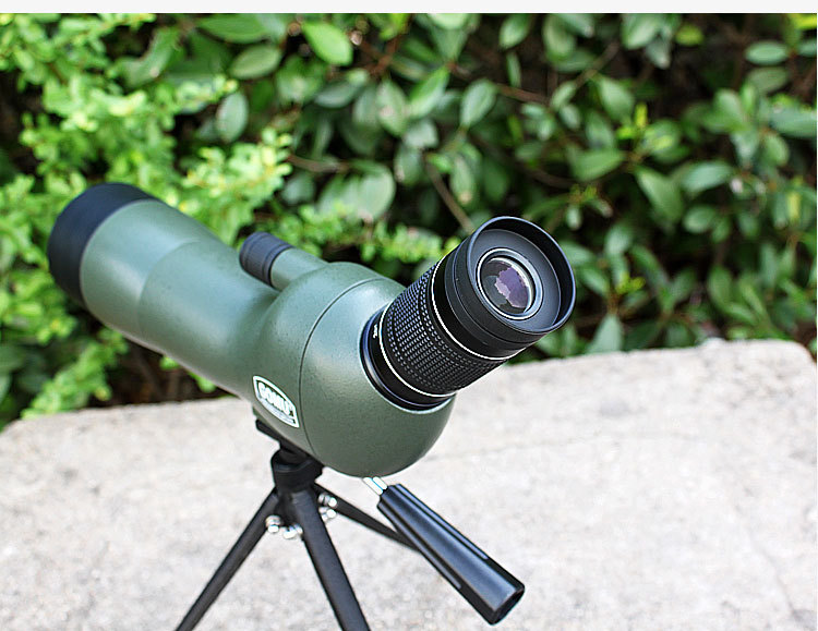 กล้องดูนก ส่องทางไกล TELESCOPE GOMU 20-60x60(AE)