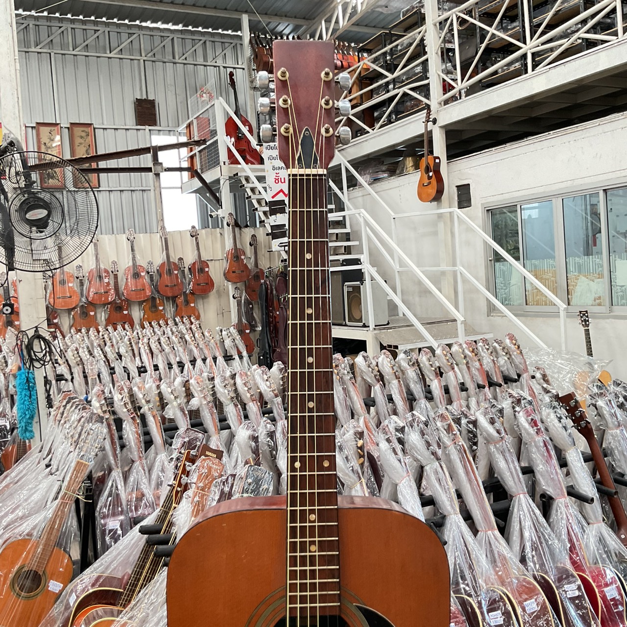 กีต้าร์โปร่ง Muse