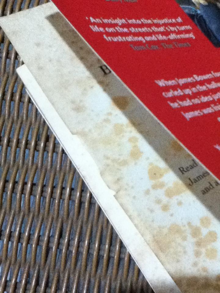 A Street Cat Named Bob/ JAMES BOWEN