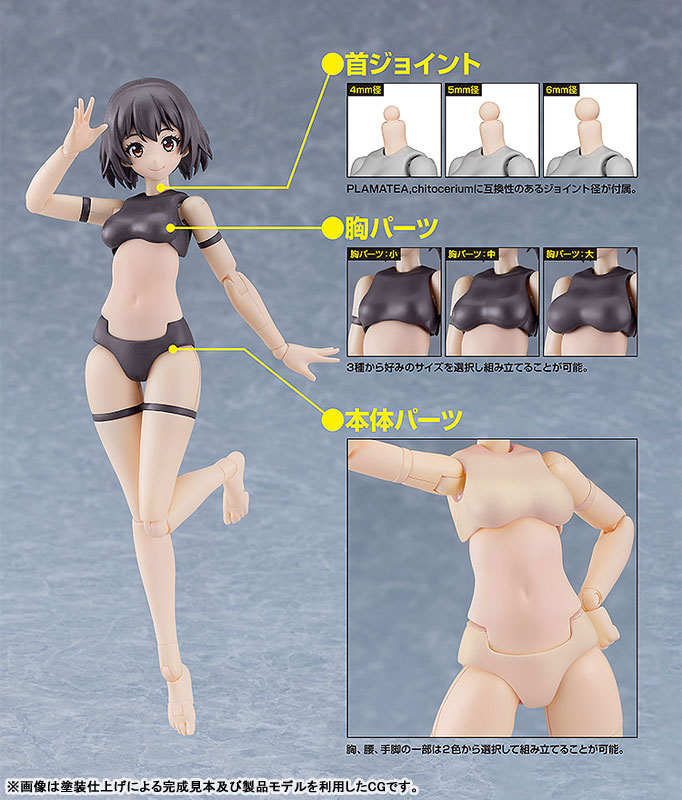 PLAMATEA Muse Body: Ichika A Type Plastic Model(Pre-order)