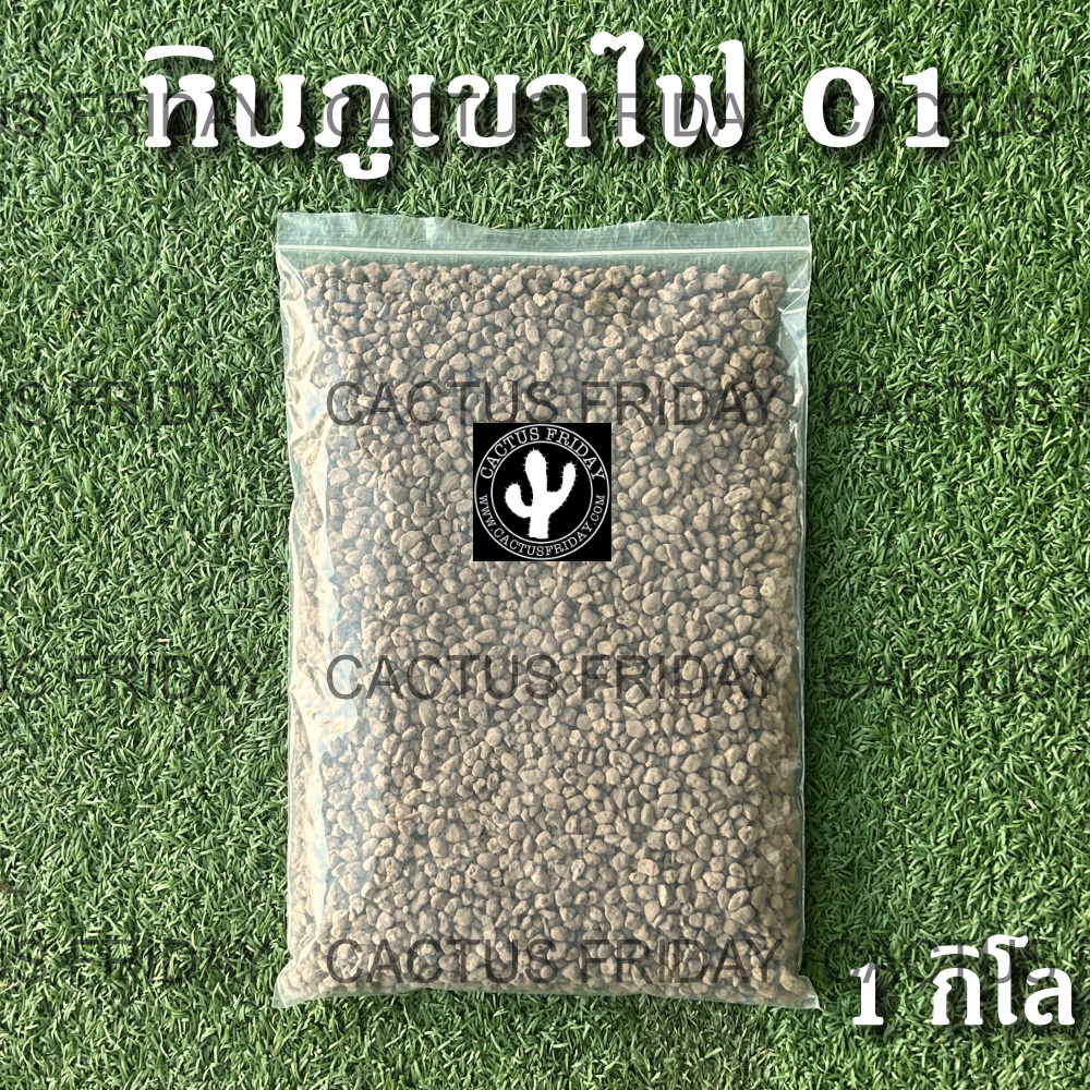หินภูเขาไฟแท้นำเข้า แบ่งขาย 1 กิโล (Pumice stone) มีให้เลือกหลายขนาด