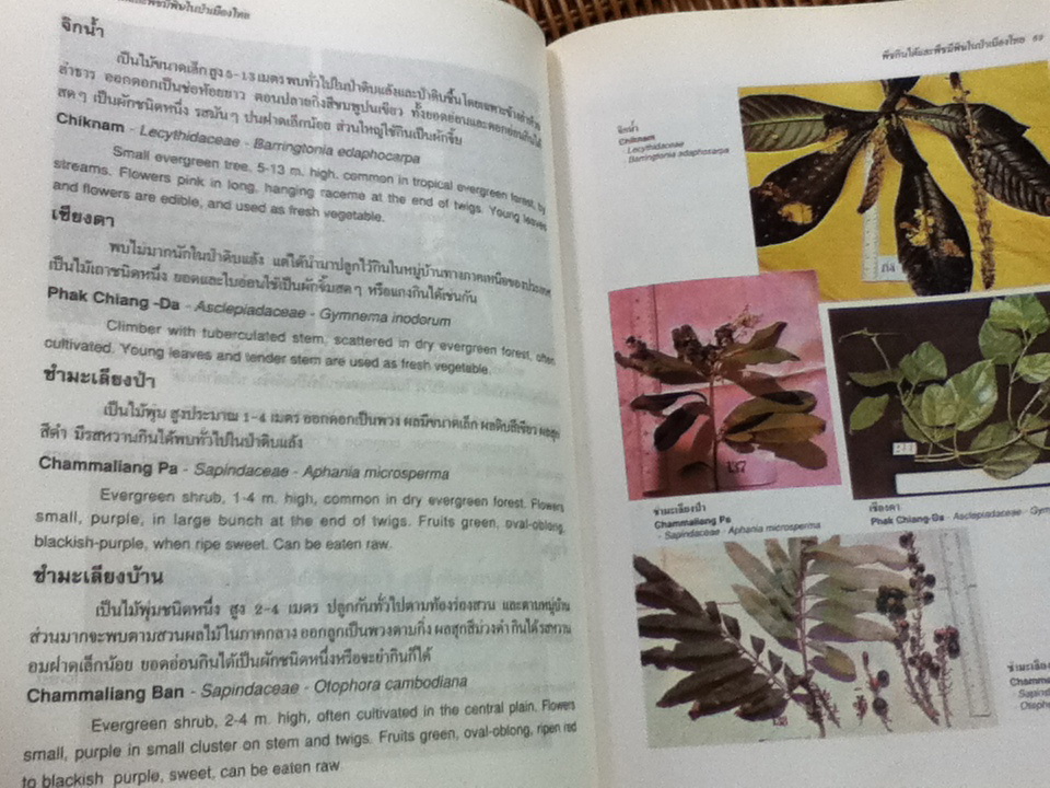 พืชกินได้และพืชมีพิในษป่าเมืองไทย (2 ภาษา ไทย-อังกฤษ)/ สมจิตร พงศ์พงัน, สุภาพ ภู่ประเสริฐ