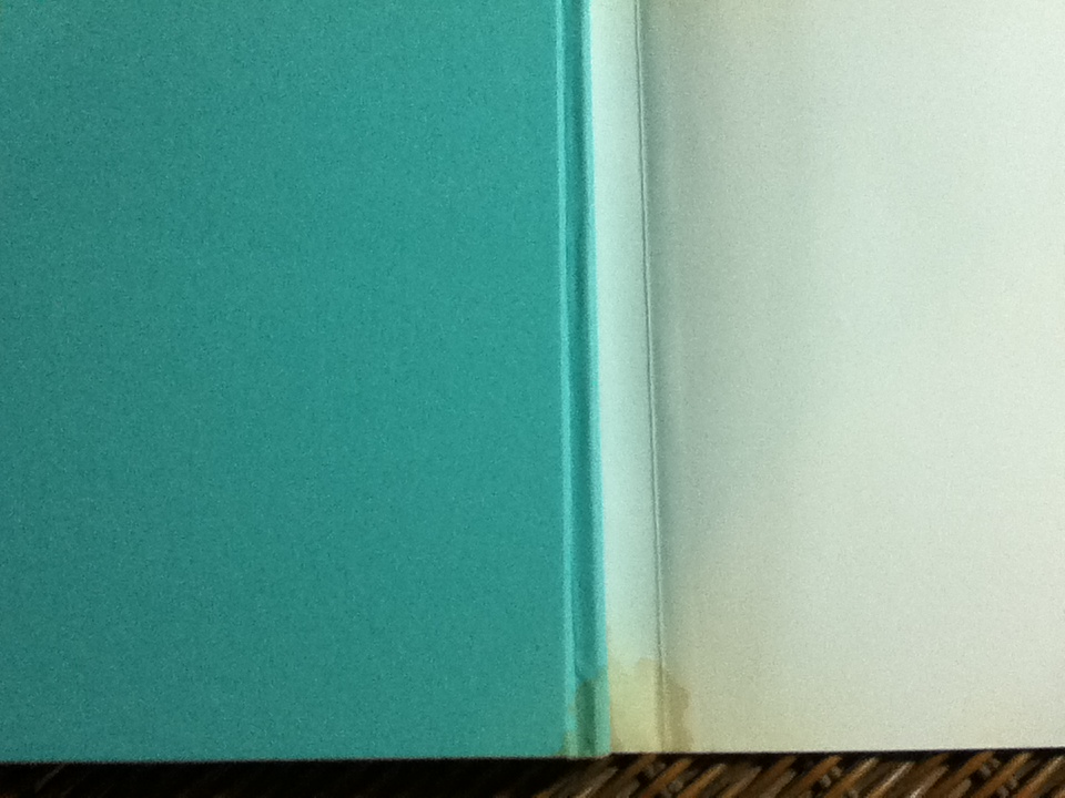 วาฬบอกเยี่ยม/ เคน แบลนชาร์ด และคณะ