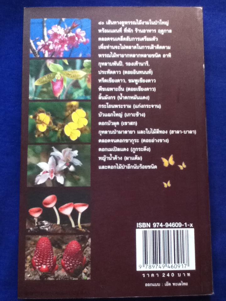 คู่มือดูดอกไม้ป่า