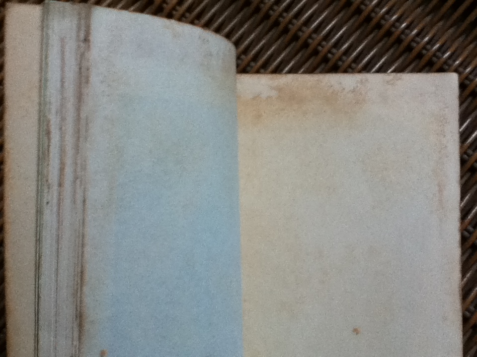 ก๊าก...ออนกรีน/ มอร์ดิลโล