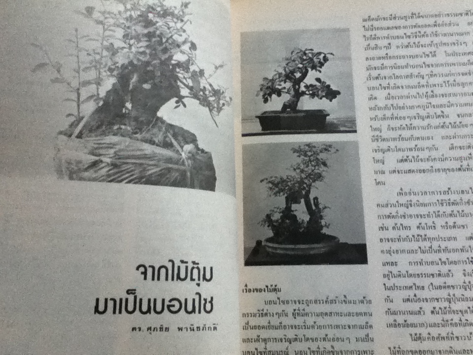 บอนไซ เล่มที่ 1/ ชมรมบอนไซ(ไม้แคระ)แห่งประเทศไทย