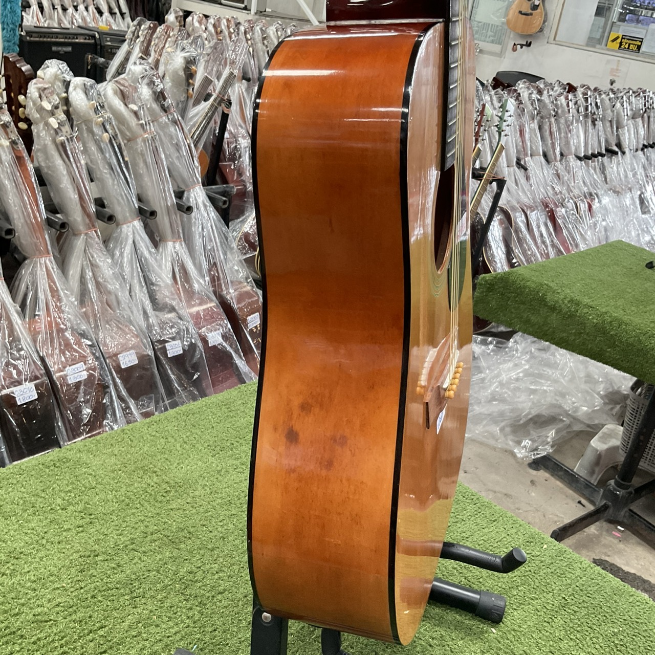 กีต้าร์โปร่ง Serena