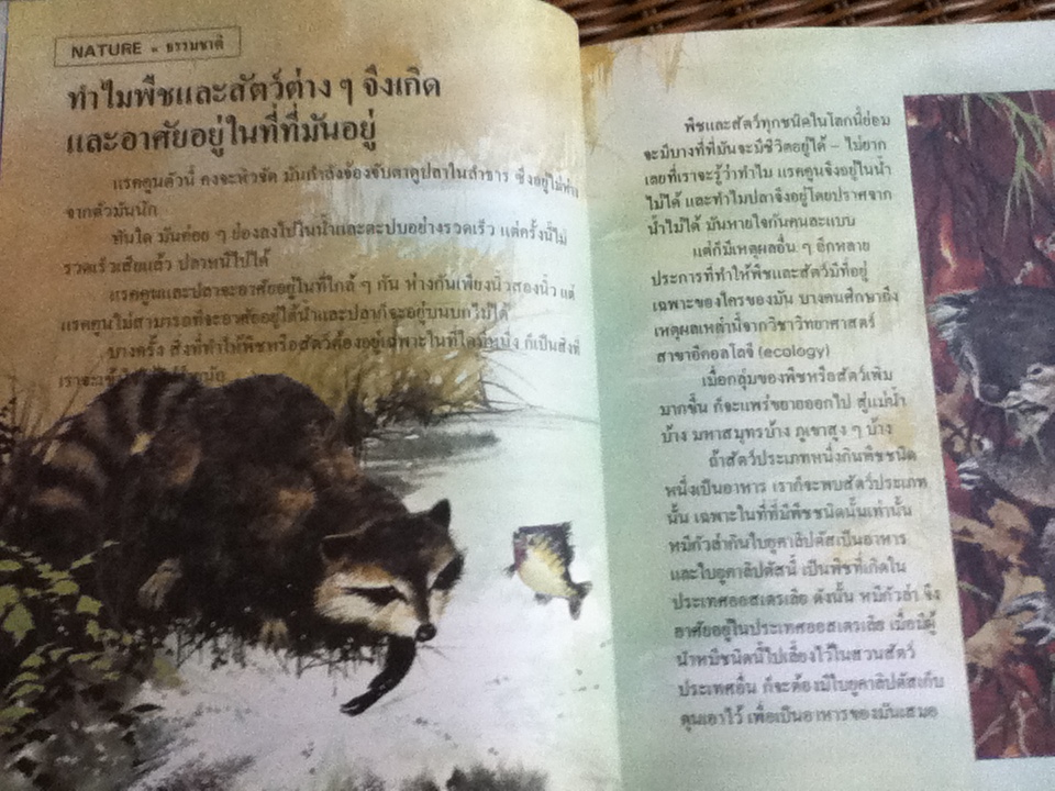 สารานุกรมสำหรับเด็ก บริทานิกา เล่มที่ 11