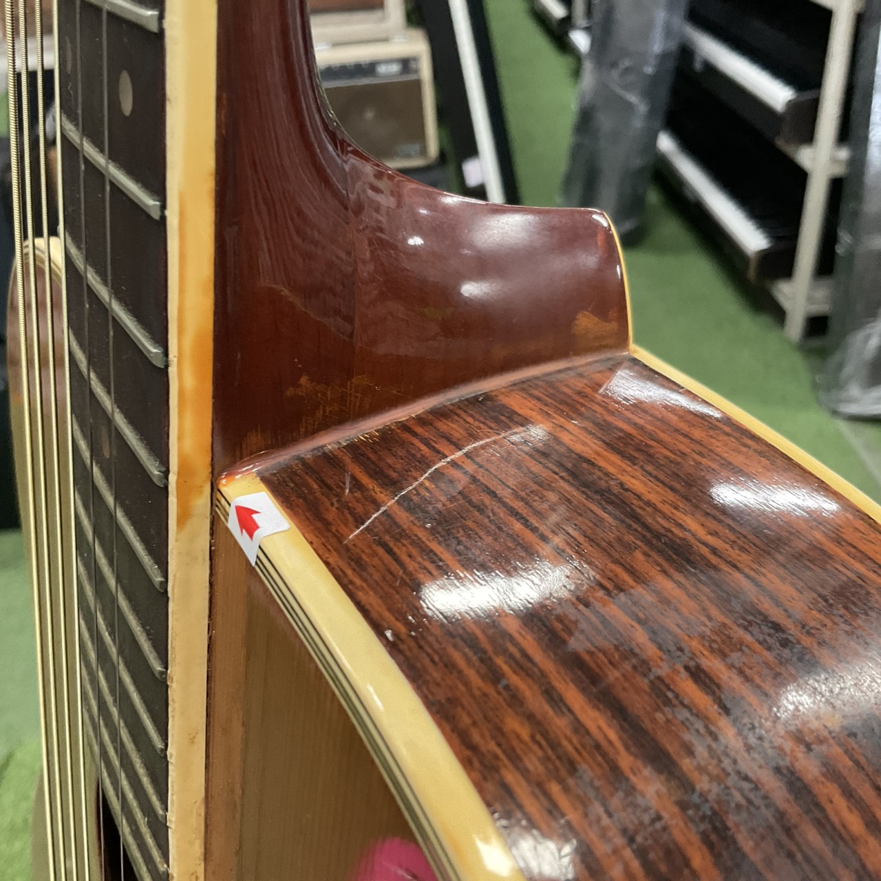 กีต้าร์โปร่ง MORRIS : F15