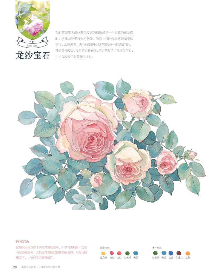 (Pre-order) หนังสือสอนระบายสีน้ำ Life illustrations