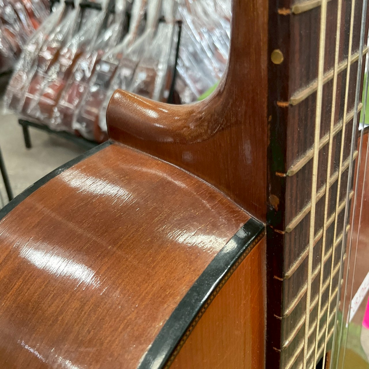 กีต้าร์คลาสสิค Shinko Pleasant : No.70