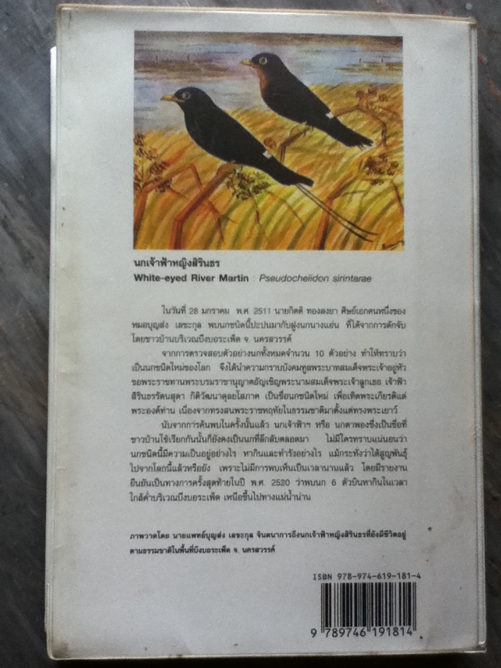 คู่มือดูนก หมอบุญส่ง เลขะกุล นกเมืองไทย