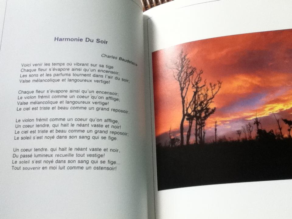 สวนหลวงทิพย์กวี เฉลิมพระเกียรติสมเด็จพระเทพรัตนราชสุดาฯสยามบรมราชกุมารี ทรงเจริญพระชนมายุครบ3รอบ