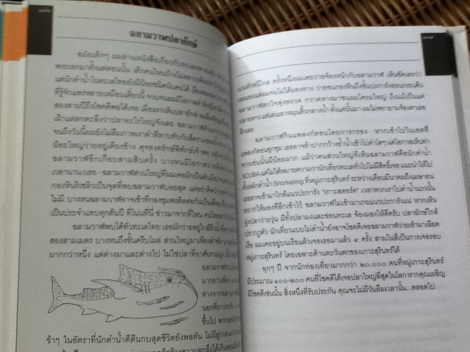 ปลาทะเลไทย เล่ม1 (พร้อมซีดีท่องทะเลชมปลา)/ ธรณ์ ธำรงนาวาสวัสดิ์ และคณะ แถม โครงการอุทยานใต้ทะเล จุฬาภรณ์36
