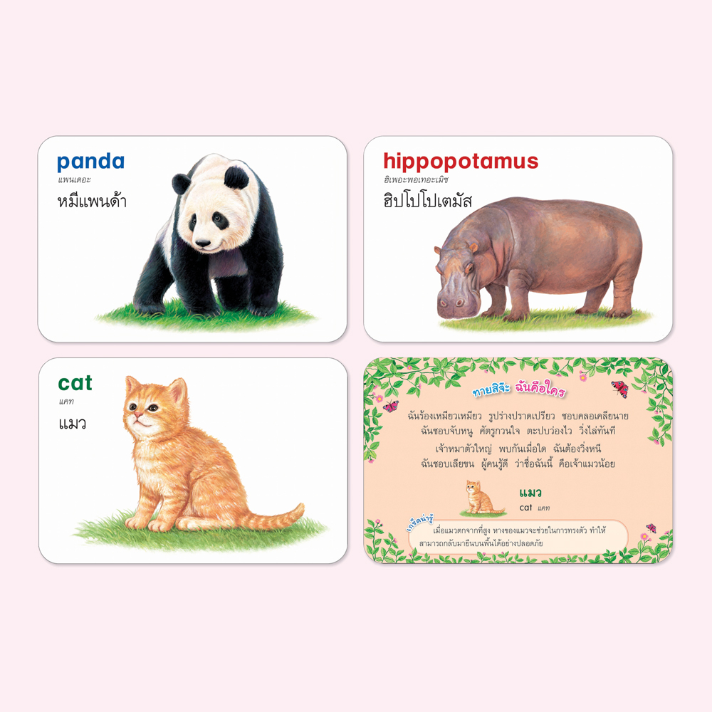 Book World Flash Card สื่อการเรียนรู้ บัตรภาพสัตว์ 2 ภาษา (ไทย-อังกฤษ) พร้อมคำกลอน 4 สีสวยงาม
