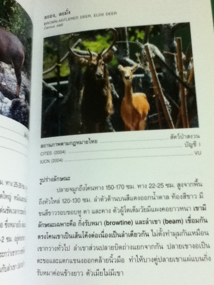 คู่มือจำแนกสัตว์ป่า เพื่องานป้องกัน และปราบปรามการลักลอบค้าสัตว์ป่า