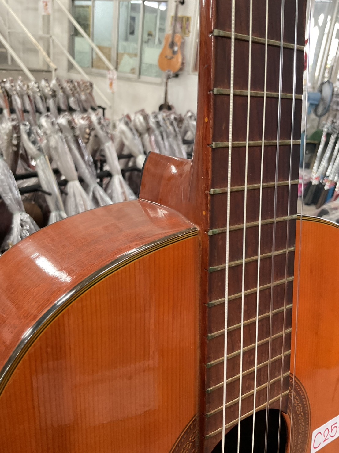 กีต้าร์คลาสสิค TOKAI : L-80