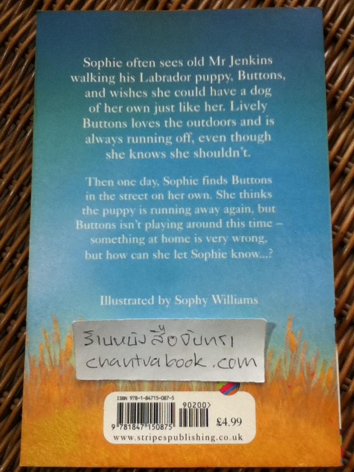 Buttons the Runaway Puppy/ Holly Webb