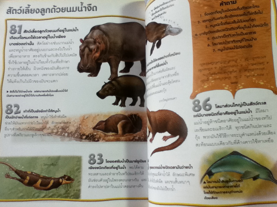 100 เรื่องน่ารู้เกี่ยวกับสัตว์เลี้ยงลูกด้วยนม/ จินนี จอห์นสัน/ ชวธีร์ รัตนดิลก ณ ภูเก็ต