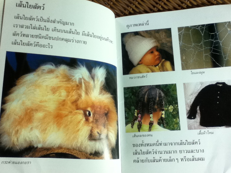 หนังสือความรู้สำหรับเด็ก เส้นใยสัตว์ และ การ์ตูน 101 ดัลเมเชี่ยน (หนังสือแถม)