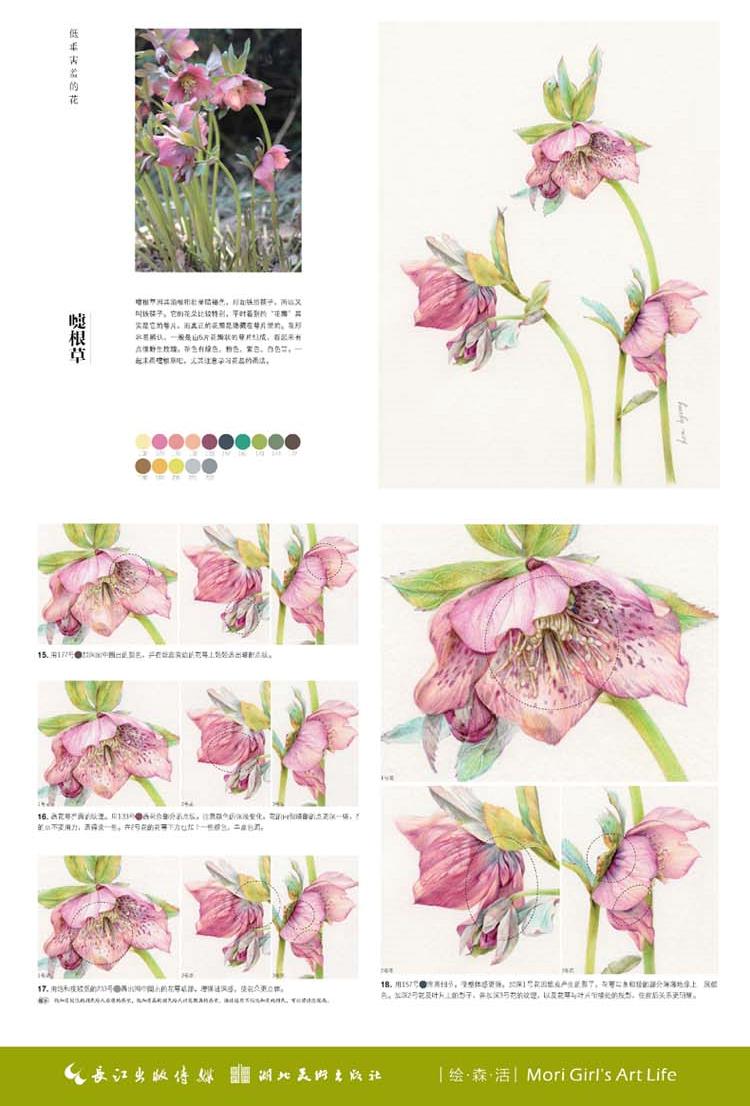 (Pre-order) หนังสือ FLOWER DRAWING