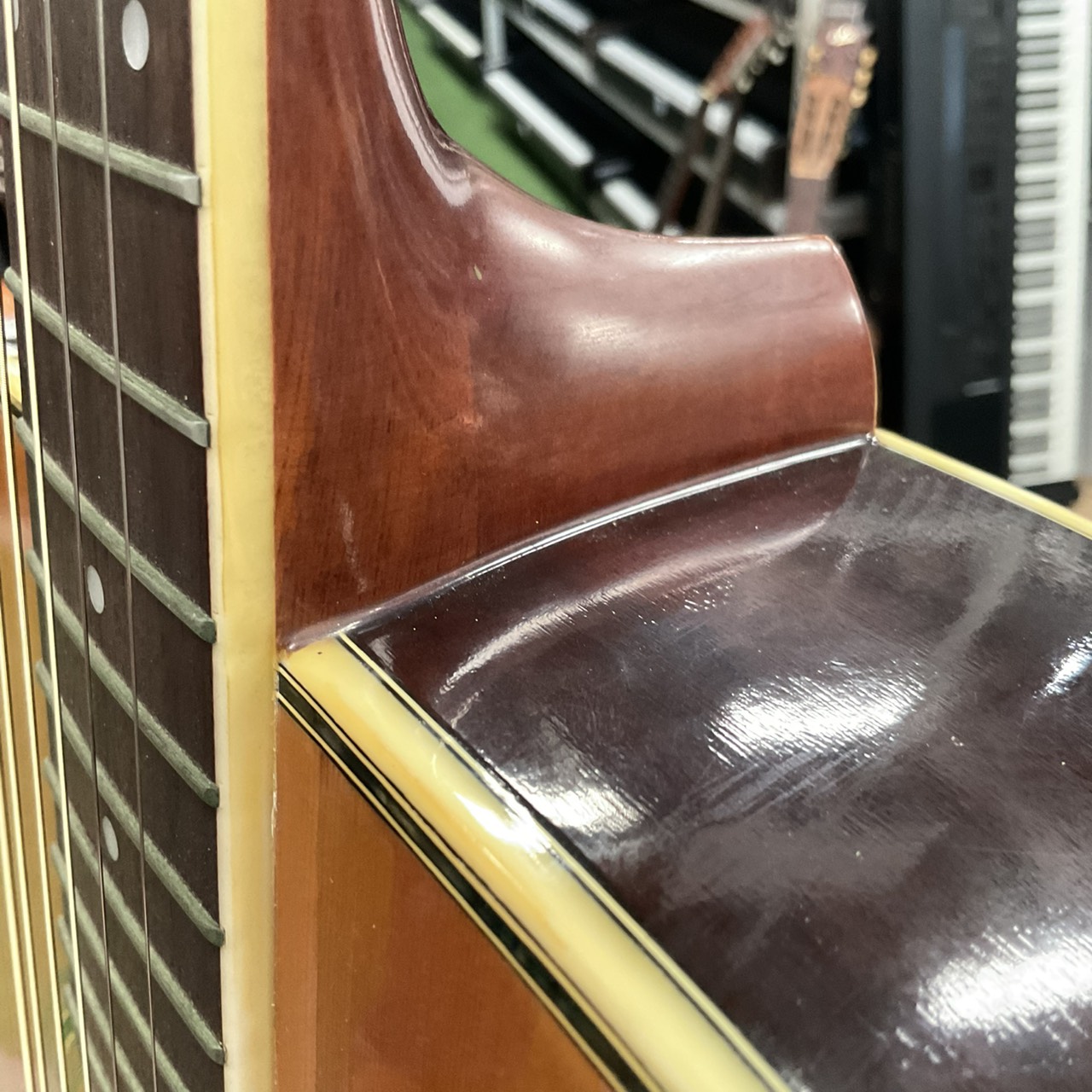 กีต้าร์โปร่ง Morris : W-25