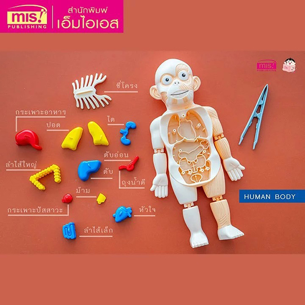 Se-ed (ซีเอ็ด) หนังสือ ระบบร่างกายมนุษย์ ระดับประถมพร้อมโมเดลร่างกาย