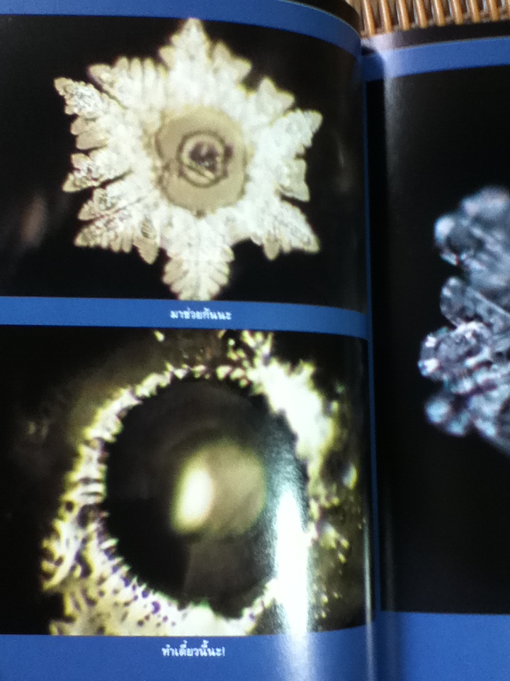 มหัศจรรย์แห่งน้ำ: คำตอบเพื่อชีวิตที่ดีกว่า/ มาซารุ เอโมโตะ