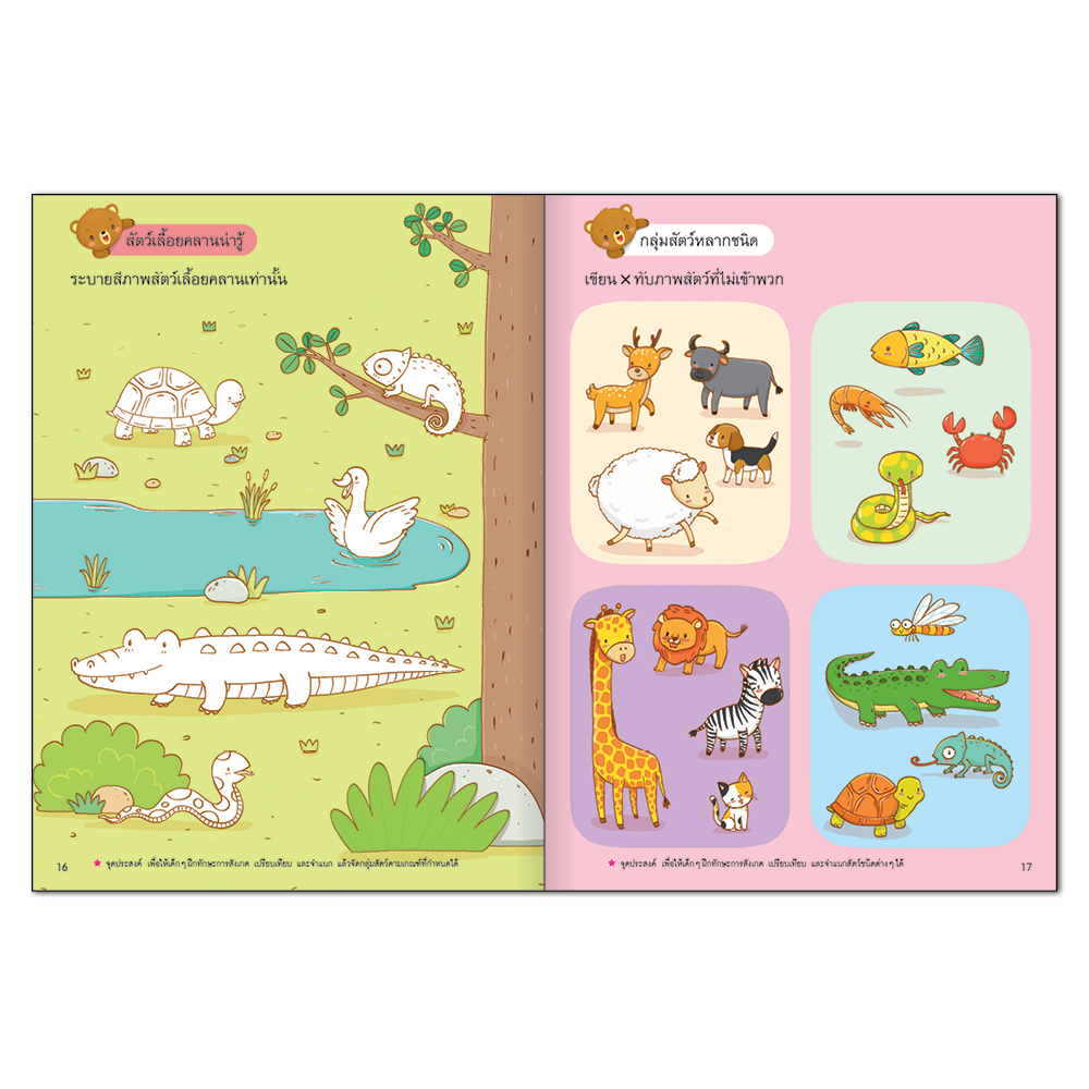 Book World แบบฝึกเตรียมความพร้อมทักษะรอบด้านสำหรับเด็กปฐมวัย การจำแนกและการจัดกลุ่ม (บุคคล สถานที่ สัตว์ พืช ฤดูกาล และสิ่งต่าง ๆ รอบตัว)