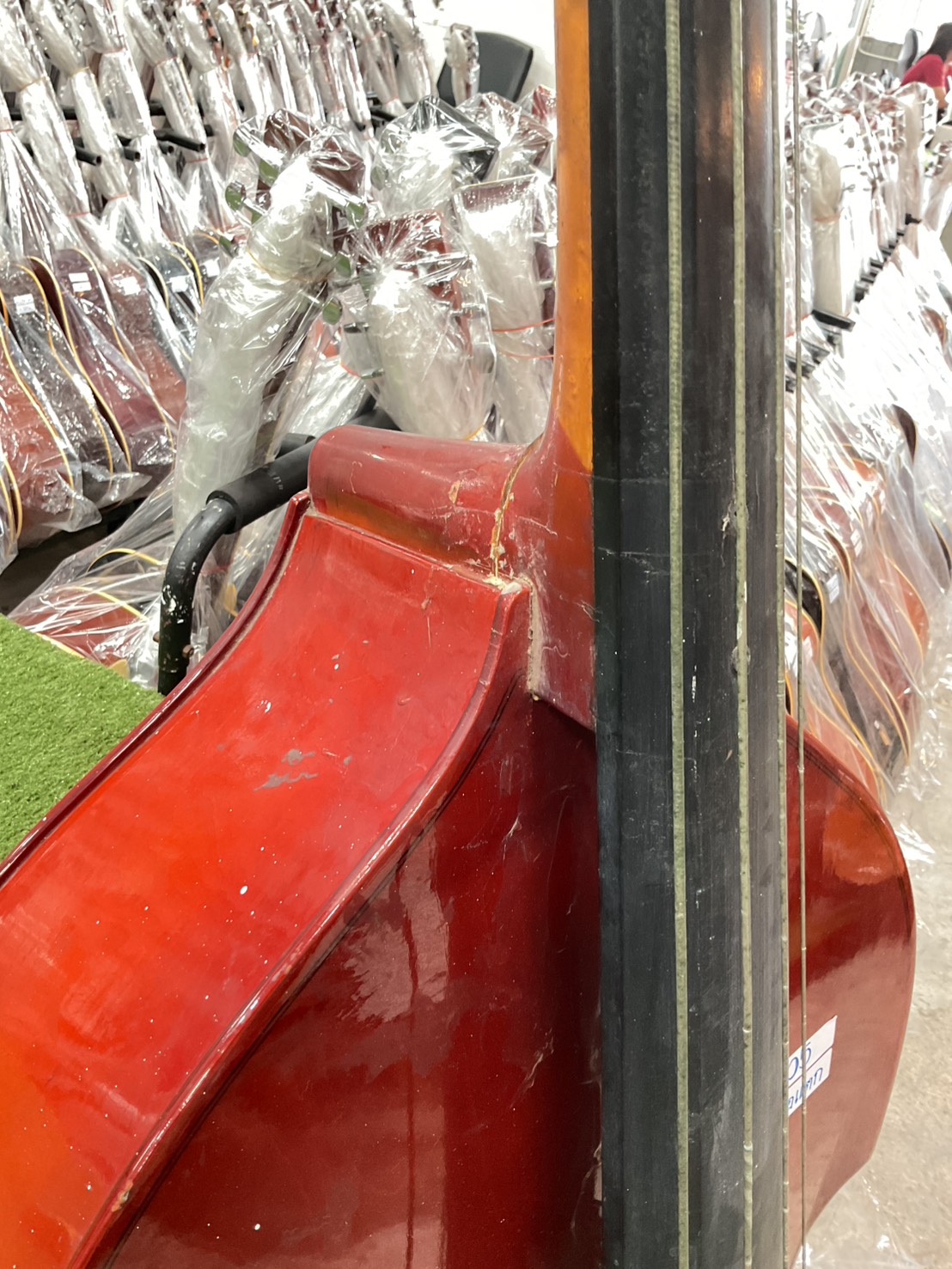 ไวโอลิน Double Bass