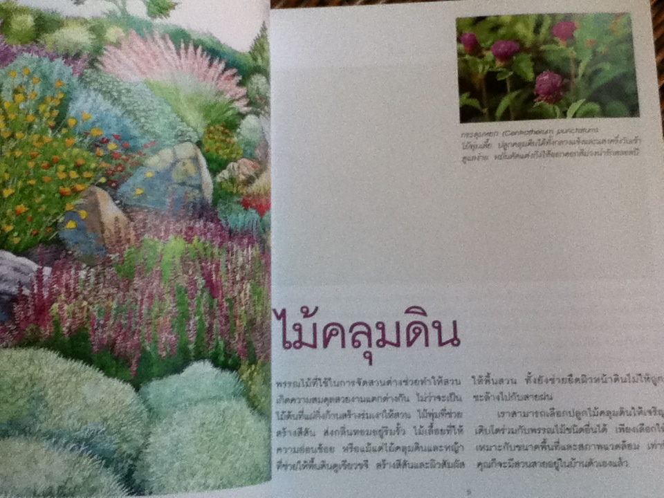 ไม้คลุมดิน/ ธิวลักษณ์ บุนนาค