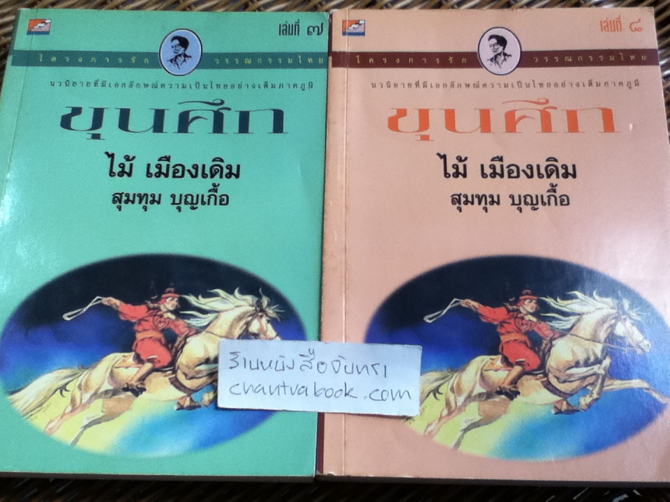 ขุนศึก 10เล่มจบ/ ไม้ เมืองเดิม