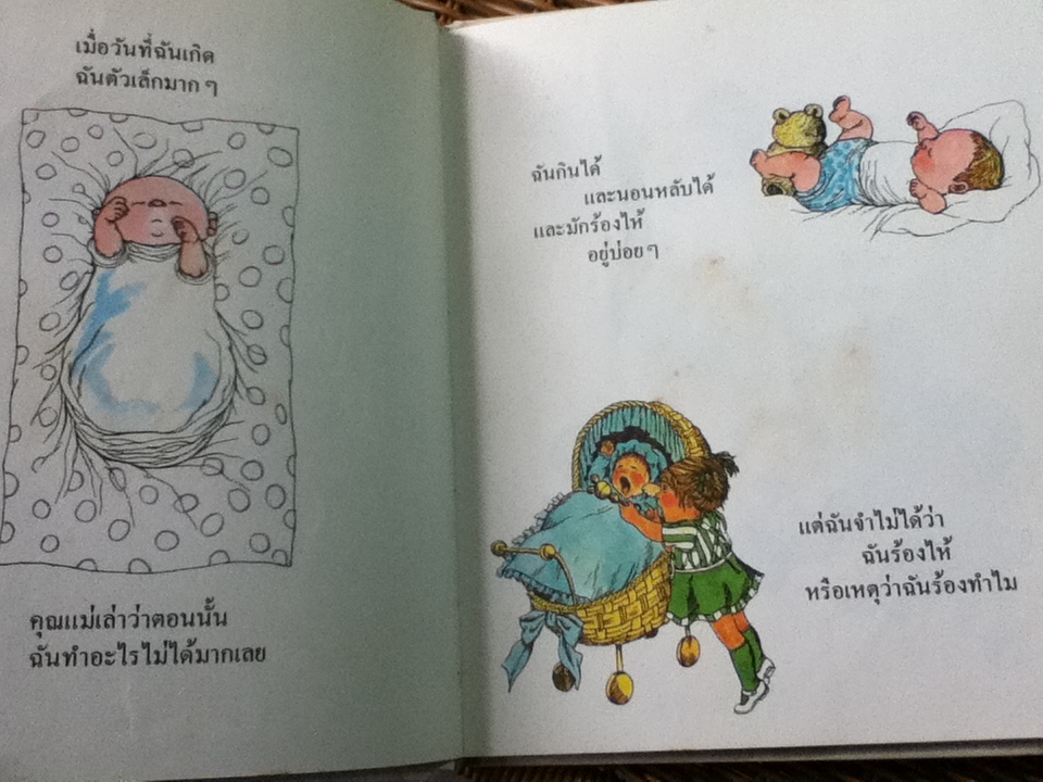 WALT DISNEY FUN-TO-LEARN LIBRARY Volume 3-19 (17 เล่ม)