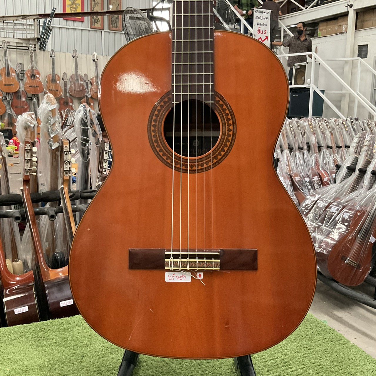 กีต้าร์คลาสสิค SUZUKI : No.36