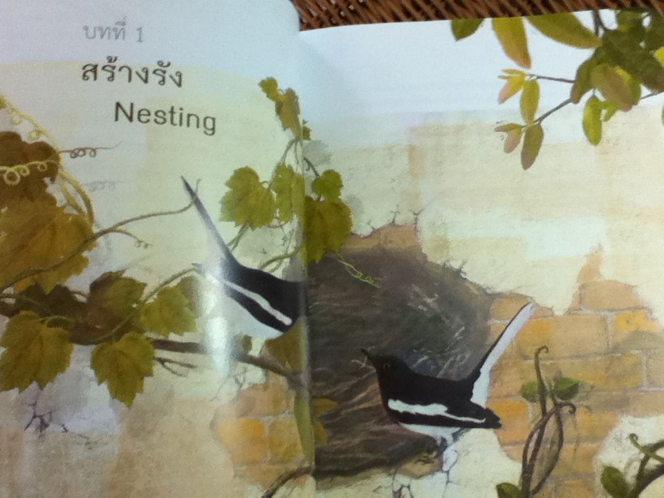 นกกางเขน สองภาษา ไทย-อังกฤษ/ หลวงกีรติวิทโยฬาร และ นายอร่าม สิทธิสาริบุตร