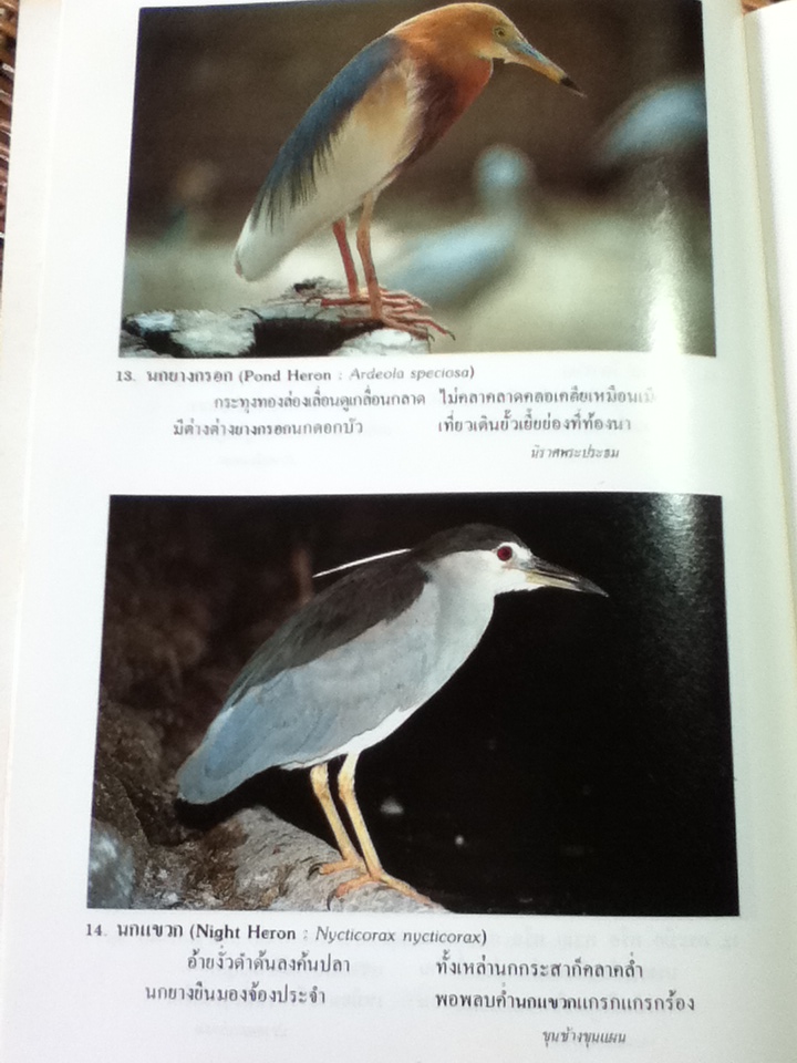 สัตว์ในวรรณคดีไทย (หนังสือแถม)