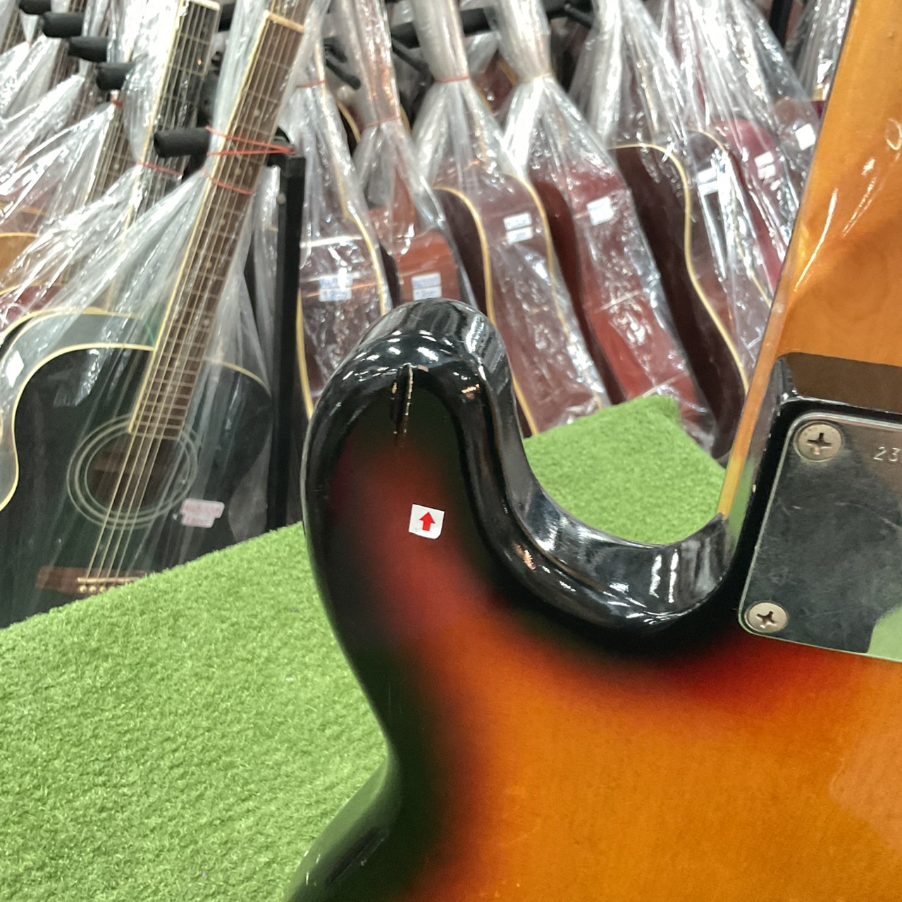 กีต้าร์เบส HOLLY : SPLENDOR