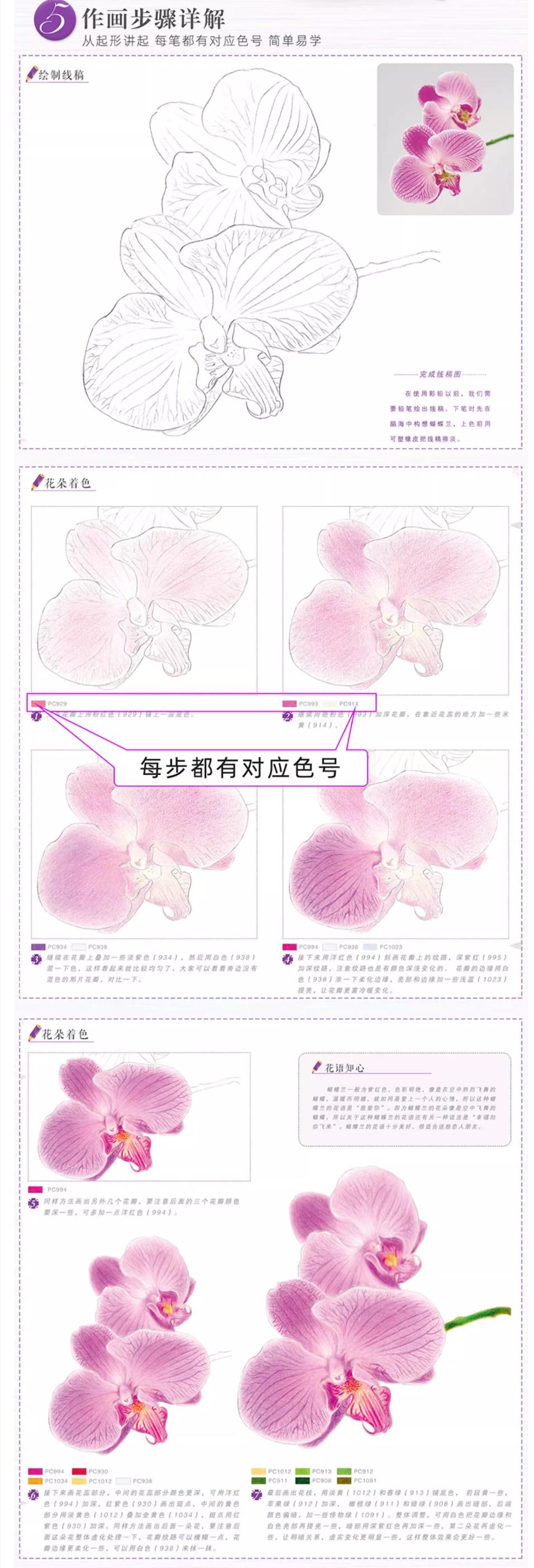 (Pre-order) หนังสือสอนระบายสีไม้ภาพดอกไม้