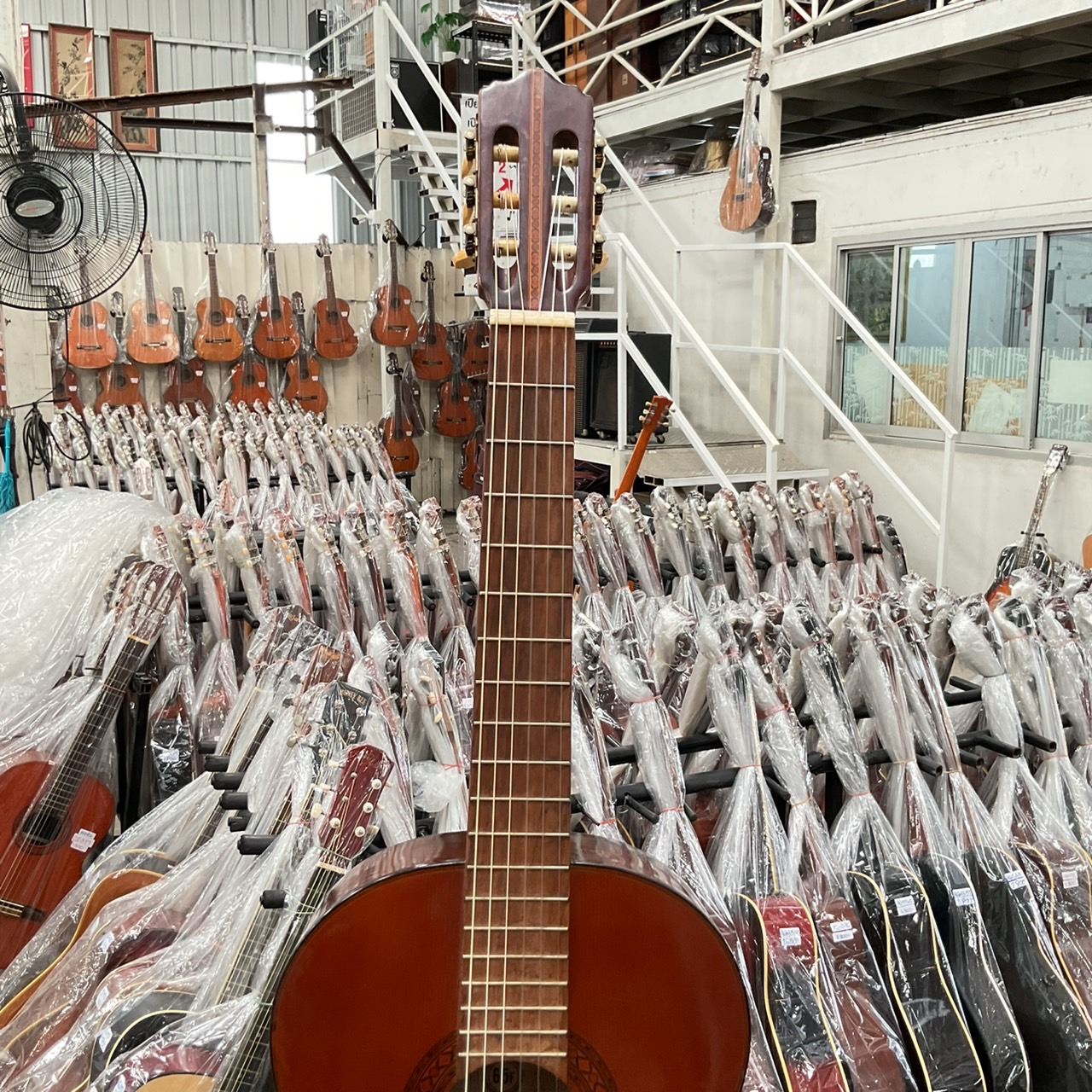 กีต้าร์คลาสสิค Abe Gut : 65F